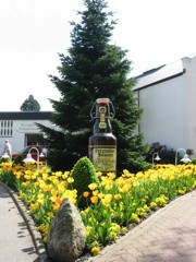 Detmolder Pils ldt ein